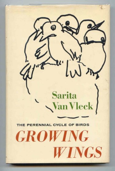 Image for Growing Wings.