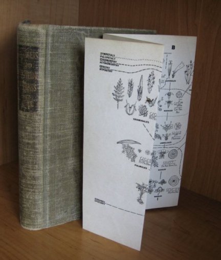 Image for Flowers and Flowering Plants. An Introduction to the Nature and Work of Flowers and the Classification of Flowering Plants.