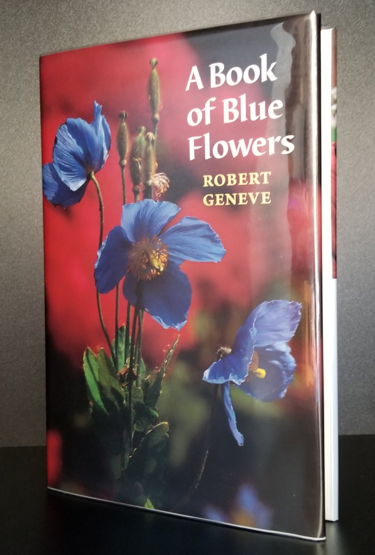 Image for A Book of Blue Flowers.