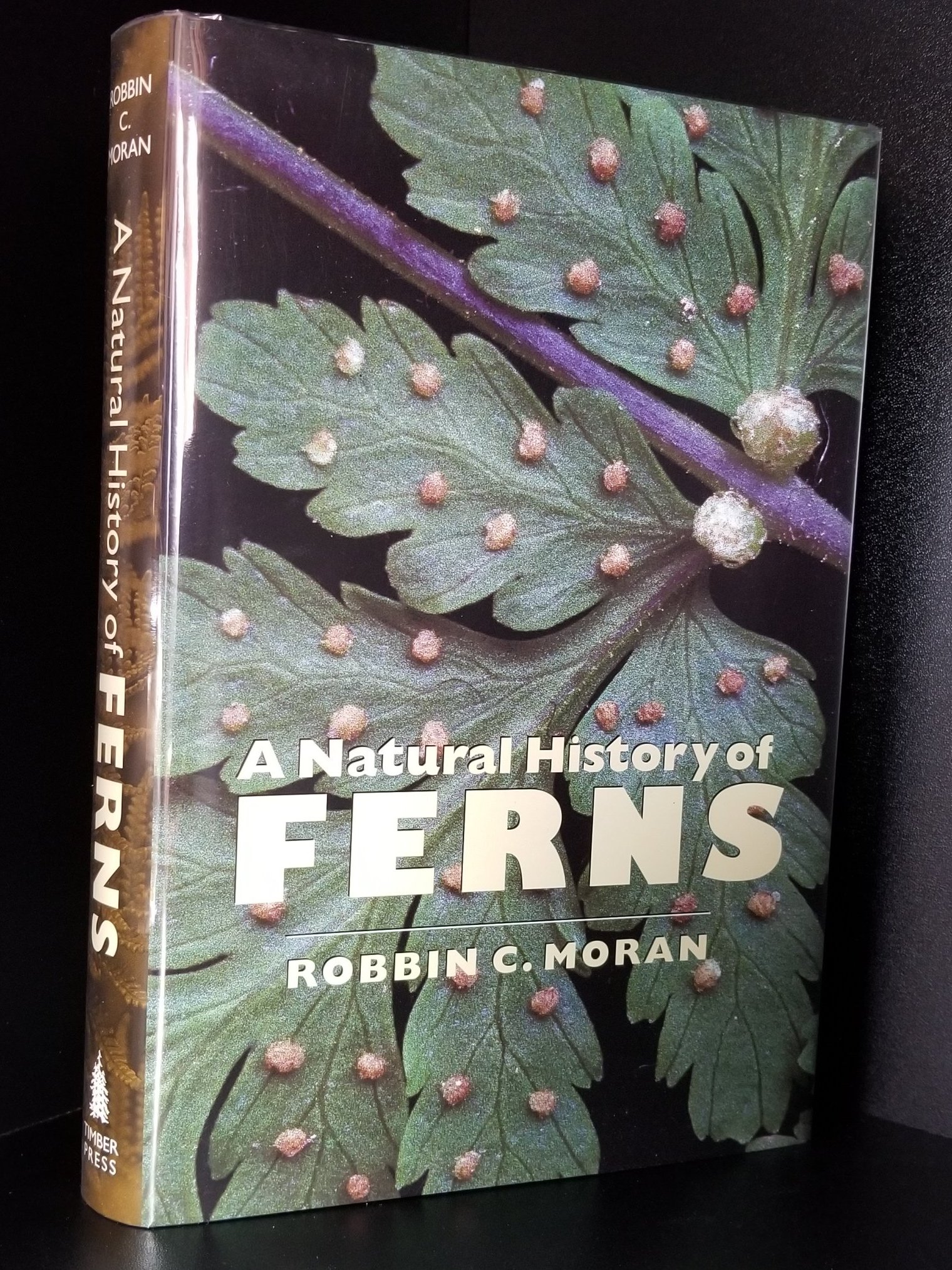 Image for A Natural History of Ferns.